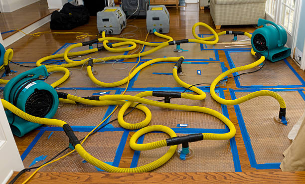 Professional Structural Drying And Dehumidification technician working in Merrimac, VA